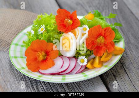 Insalata fresca con uova sode, pomodori a fette e ravanelli, guarnita con nasturtium e margherite Foto Stock