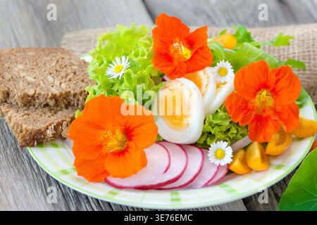 Insalata fresca con uova sode, pomodori a fette e ravanelli, servita con pane integrale e guarnita con nasturtium e fiori di mais Foto Stock