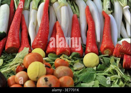 Verdure appena raccolte in colori vivaci, tra cui peperoni rossi e barbabietole bianche, Agra, Uttar Pradesh, India Foto Stock