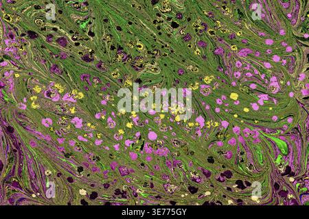 Colorato sfondo astratto Ebru marmorizzato con vivaci vortici di inchiostro liquido e texture artistica Foto Stock