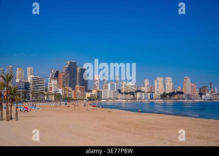 Ampia vista panoramica della spiaggia di Poniente a Benidorm, Spagna. Le sabbie dorate incontrano il blu del Mediterraneo, incorniciato da un famoso skyline di moderni grattacieli Foto Stock