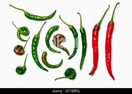 Stesa piatta di peperoncini rossi e verdi su sfondo bianco Foto Stock