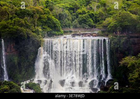 Le potenti cascate di Iguazu si tuffano drammaticamente su un'ampia scogliera basaltica, circondata dalla fitta vegetazione della foresta atlantica a Foz do Igua Foto Stock