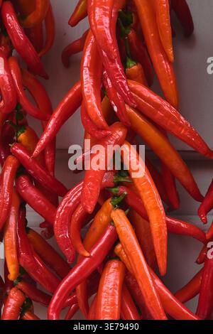 Peperoncino rosso caldo appeso ad asciugare in grappoli. Foto Stock