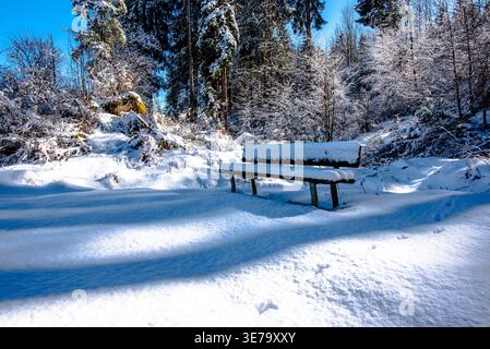 Panchina in legno ricoperta di neve nel paesaggio forestale. Ambiente invernale all'aperto con luce solare e ombre, adatto a temi di natura, relax e viaggi. Foto Stock