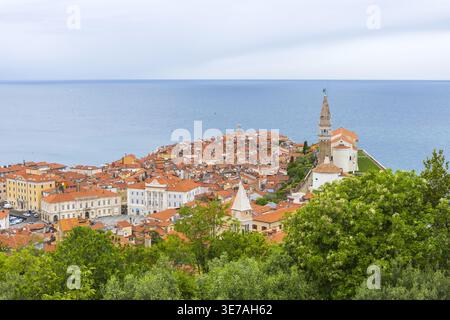 Vista della città vecchia di Pirano con tetti rossi e del mare Adriatico in Slovenia. Paesaggio costiero panoramico. Foto Stock