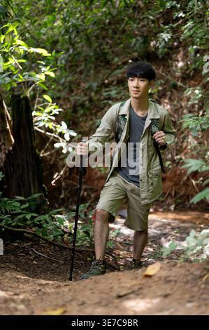 Escursionista maschile asiatico con palo da trekking in piedi nella foresta Foto Stock