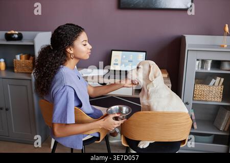 Donna mista che accarezza il cane seduto sulle sedie mentre lavora a casa Foto Stock