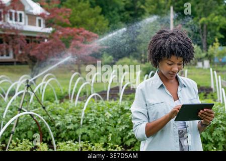 Agricoltore di colore con afro che usa un tablet in piedi presso l'azienda durante il giorno Foto Stock