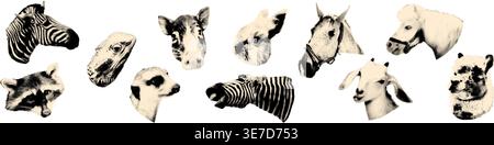 Illustrazione vettoriale del collage mezzitoni delle teste degli animali Illustrazione Vettoriale