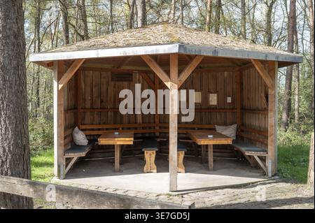 Suedlohn, NRW, Germania, rifugio in legno che offre panchine e tavoli in un parco forestale all'aperto Foto Stock