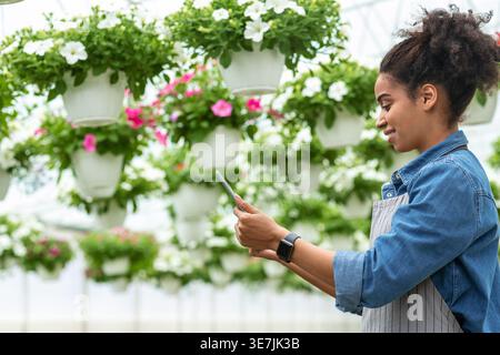 Donna nera sorridente che indossa il grembiule usando il tablet mentre è in piedi in serra Foto Stock