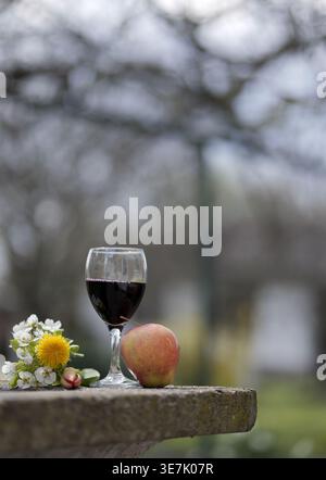 Natura morta all'aperto con un bicchiere di vino rosso, una mela e fiori primaverili su una superficie di pietra, adagiata su un vigneto e alberi sfocati. 2026 Foto Stock