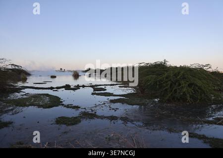 Il paesaggio del sito geotermico di Alalobad, Etiopia Foto Stock