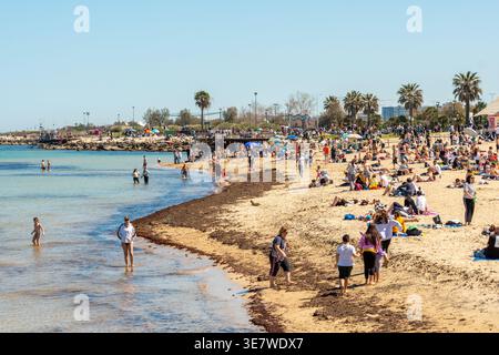 Pane e Pomodoro, la principale spiaggia di sabbia pubblica di Bari, Italia, con palme, affollata in primavera, si trova a pochi passi o a breve distanza in auto dalla città Foto Stock