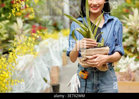 Donna asiatica che tiene l'erba con fiori in fiore in piedi in serra Foto Stock