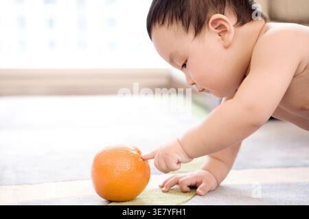 Bambino cinese che tocca la frutta arancione strisciando sul pavimento di casa Foto Stock