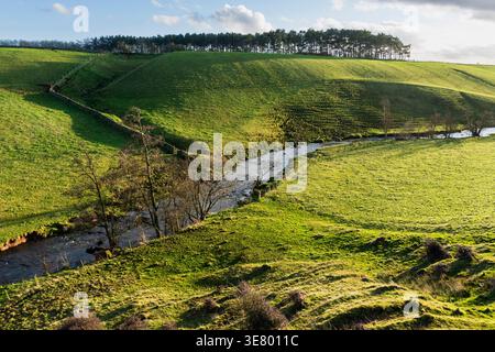 Un pittoresco paesaggio caratterizzato da lussureggianti colline verdi e ondulate divise da un dolce ruscello e delimitate da un tradizionale muro di pietra, bagnate da un morbido sole Foto Stock