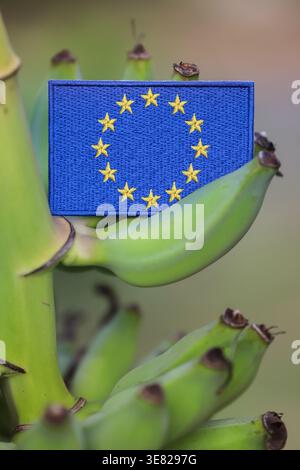 Bandiera dell'Unione europea su un mucchio di banane verdi in un frutteto tropicale, evidenziando il commercio internazionale e la crescita ecocompatibile. Foto Stock