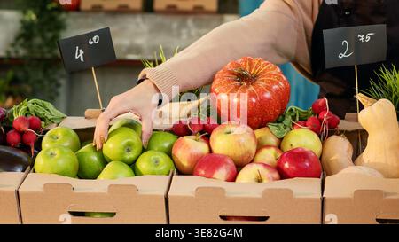 Proprietario di una piccola impresa che organizza prodotti agricoli in scatole, mette frutta e verdura in stand al mercato agricolo locale. Stalla donna che vende prodotti coltivati naturalmente. Primo piano. Foto Stock
