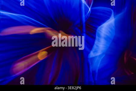 Un fiore blu e arancione con sfondo sfocato. Il fiore è circondato da uno sfondo blu e viola Foto Stock