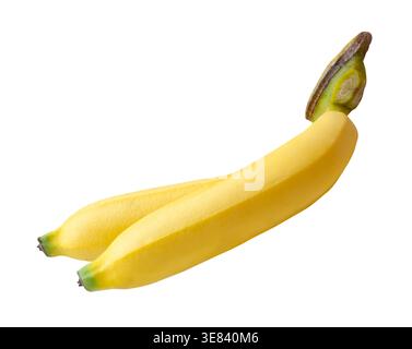 Due frutti di banana gialli maturi in una mano di banana sono isolati su sfondo bianco con percorso di ritaglio. Foto Stock