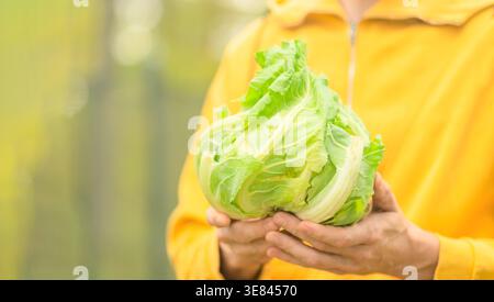 Primo piano del cavolfiore in mani maschili. Agricoltore che detiene orto biologico fresco dall'orto. Tempo di raccolta, cibo naturale e stile di vita sano. Foto Stock