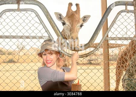 Donna che indossa un cappello che dà da mangiare a una giraffa dal collo lungo con una carota attraverso un recinto di metallo che mostra il legame tra uomo e animale durante un viaggio Foto Stock