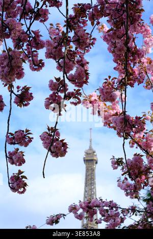 Torre Eiffel circondata da fiori Foto Stock