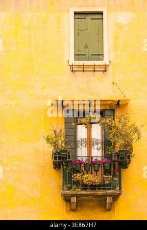 Affascinante facciata veneziana con un piccolo balcone, fiori in vaso e finestre con persiane su una calda parete gialla, catturando l'atmosfera romantica di Venez Foto Stock