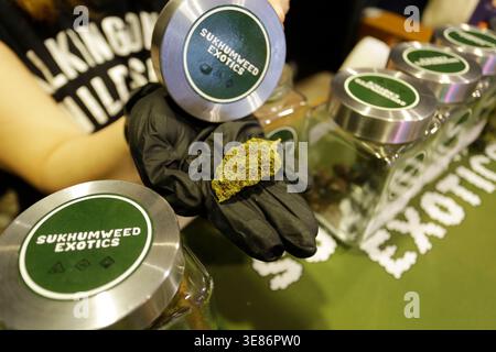 Bangkok, Thailandia - 7 luglio 2022: Un bocciolo di marijuana è esposto nel negozio di cannabis Sukhumweed. Foto Stock