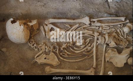 I resti scheletrici risalgono a una tomba risalente all'epoca romana esposta nel winchester City Musueum Foto Stock