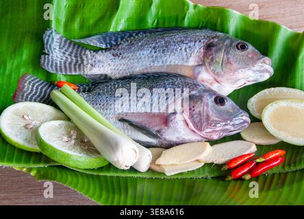 Pesce intero di tilapia crudo posto su una foglia di banana con lime a fette e funghi bianchi su una superficie di legno. Foto Stock
