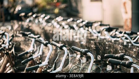 visione poco profonda della profondità di campo guardando in basso una lunga fila di manubri e cestelli anteriori di numerose biciclette parcheggiate insieme. Foto Stock