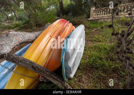 Kayak colorati che riposano sull'erba in un tranquillo ambiente boscoso all'aperto Foto Stock