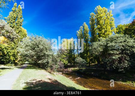 Passeggiata nel Bright Canyon in Australia Foto Stock