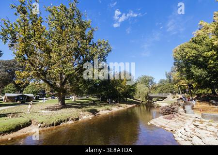Passeggiata nel Bright Canyon in Australia Foto Stock