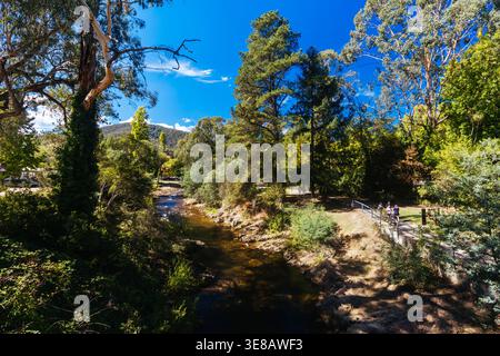 Passeggiata nel Bright Canyon in Australia Foto Stock