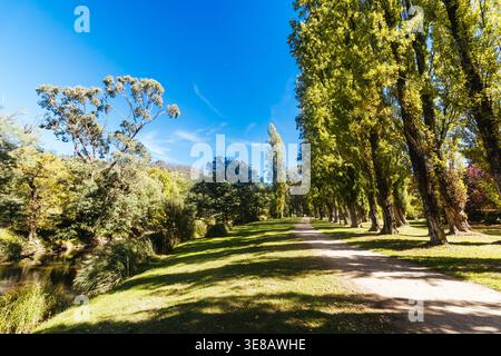 Passeggiata nel Bright Canyon in Australia Foto Stock