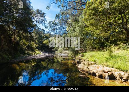 Passeggiata nel Bright Canyon in Australia Foto Stock