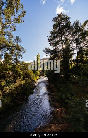 Passeggiata nel Bright Canyon in Australia Foto Stock