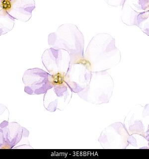 Motivo ad acquerello senza cuciture con fiori bianchi morbidi. Il design floreale dipinto a mano mostra delicati petali trasparenti e centri gialli. È un Foto Stock