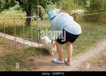 Donna anziana da dietro che gioca con un piccolo cane bianco vicino al recinto del giardino. Foto Stock