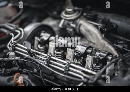 Uno scatto ravvicinato rivela l'intricato funzionamento del motore di un'auto, con particolare attenzione ai componenti interni. Foto Stock
