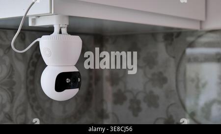 Telecamera di sicurezza intelligente per il monitoraggio degli animali domestici in interni Foto Stock