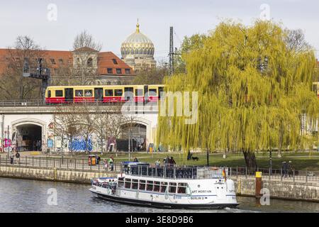 Sprea con battello aereo e S-Bahn. Vista della nuova sinagoga di Berlino, del Centrum Judaicum dall'Isola dei Musei di Berlino. Berlino, Germania Foto Stock