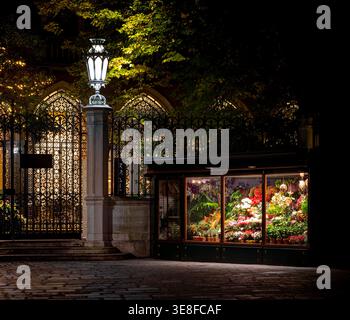 Angolo Fiorito, negozio di fiori a campo San Vidal di notte. Venezia, Italia Foto Stock