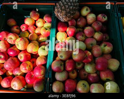 Mele disposte in casse con ananas posizionati sopra per creare una composizione a contrasto. Concetto di prodotti freschi, miscela esotica e esposizione al dettaglio. Foto Stock