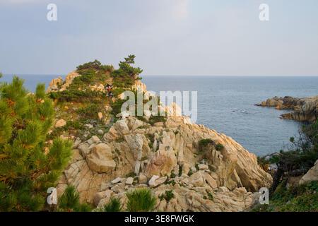 Un affioramento di granito ricoperto di pini sorge accanto alla roccia di Daewangam nel Parco di Daewangam, con massi aspri e il mare aperto alle sue spalle. Foto Stock