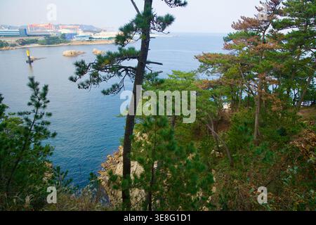 Dal parco Daewangam, le scogliere ricoperte di pini si affacciano sulle acque calme vicino al porto di Ulsan, con un faro giallo, isolotti rocciosi e strutture portuali oltre. Foto Stock